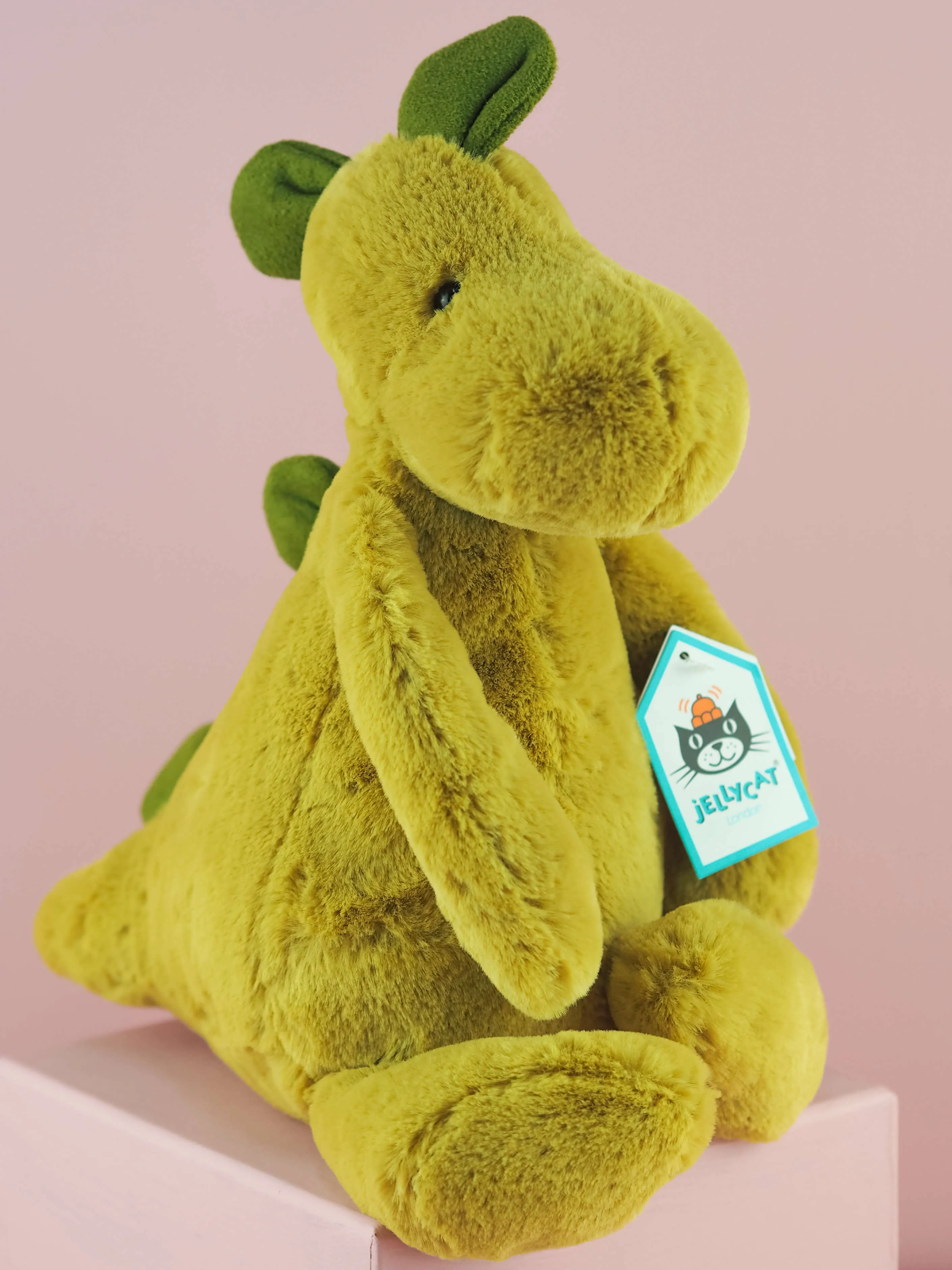 Bashful Dinosaur